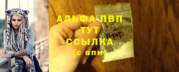 экстази Ельня