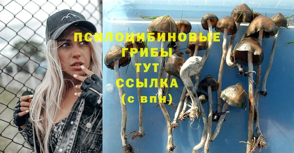экстази Ельня