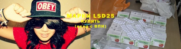ПСИЛОЦИБИНОВЫЕ ГРИБЫ Елабуга