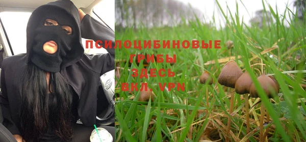 экстази Ельня
