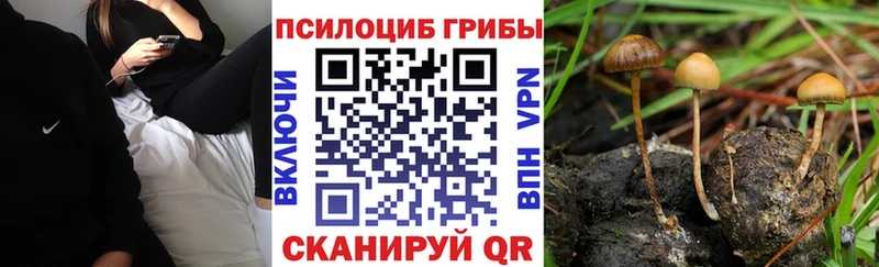 где купить наркоту  MEGA онион  Галлюциногенные грибы MAGIC MUSHROOMS  Пласт 
